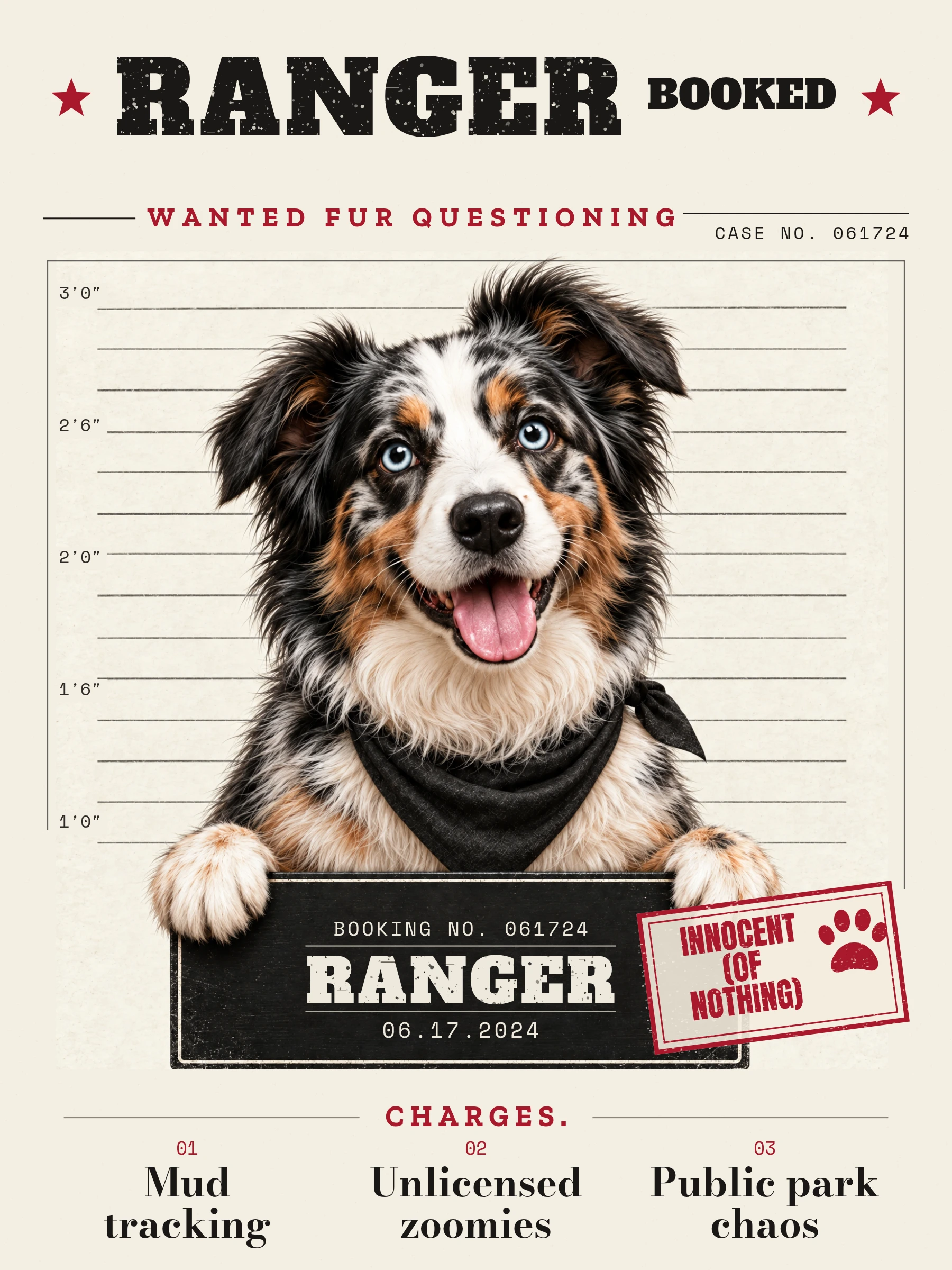 Ranger’s booking poster and charge sheet